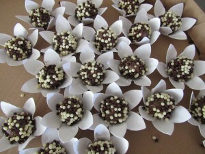 birthday-1018257_960_720