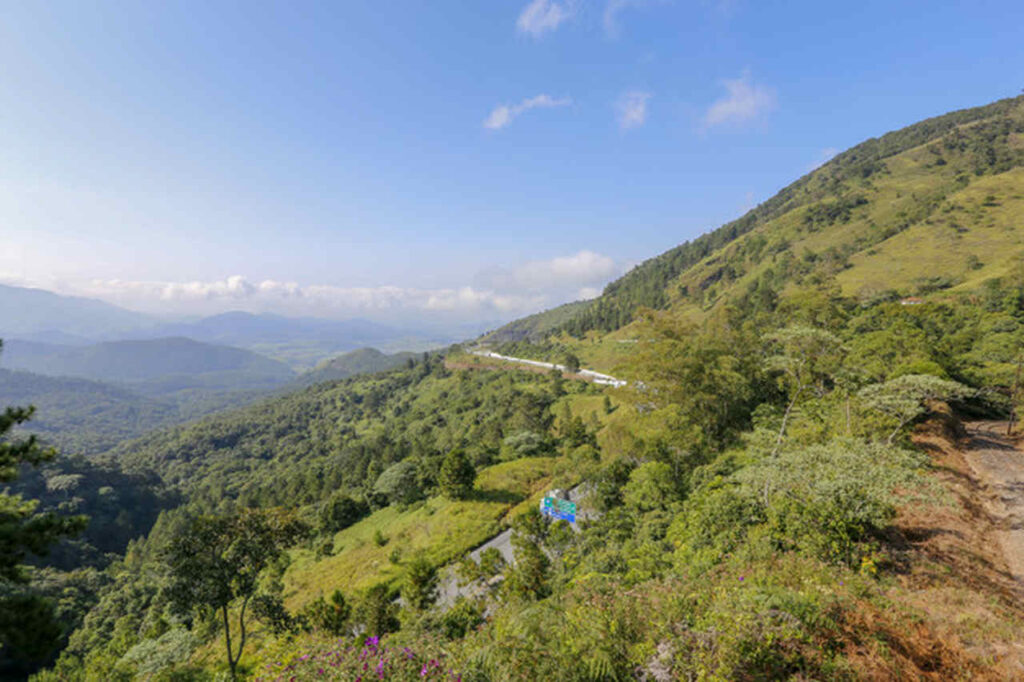 Serra da Mantiqueira, Cerrado de Minas Gerais