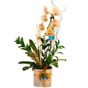 Arranjo de orquídea phalaenopsis na cor champanhe em box dourada, decorada com diversas plantas e flores, apresentando luxo e elegância
