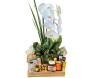 cesta de café da manhã com orquídea phalis branca na embalagem verde